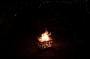 Thumbs/tn_Beetle at the Beach 2023 018.jpg